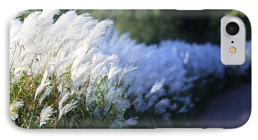 Nature iPhone 8 Case featuring the photograph Late Summer Path by Kate Purdy
