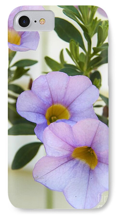 Million Bells iPhone 8 Case featuring the photograph Lavendar Pink by Judy Via-Wolff
