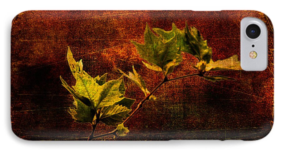 Branch iPhone 8 Case featuring the photograph Leaves on texture by Roberto Pagani
