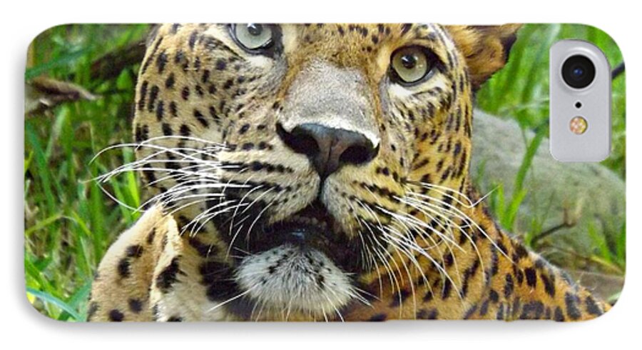 Leopard iPhone 8 Case featuring the photograph Leopard Face by Clare Bevan