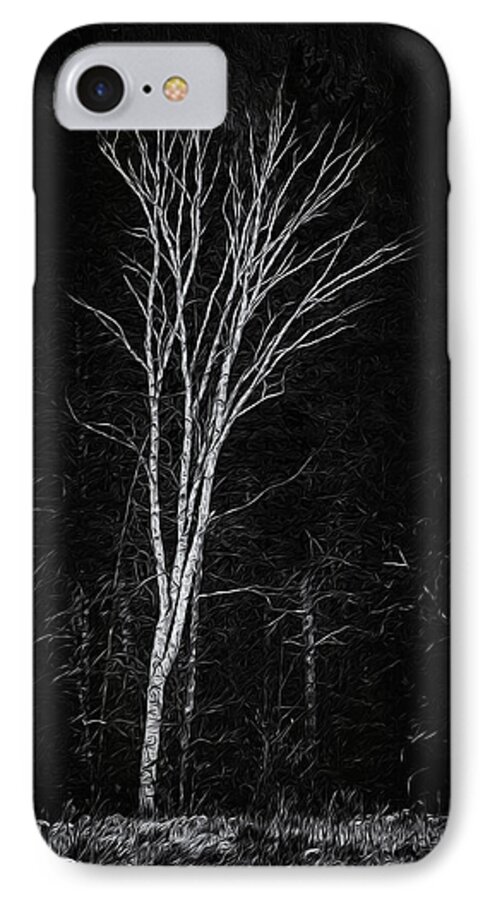 2013 iPhone 8 Case featuring the photograph Life's A Birch No.2 by Mark Myhaver