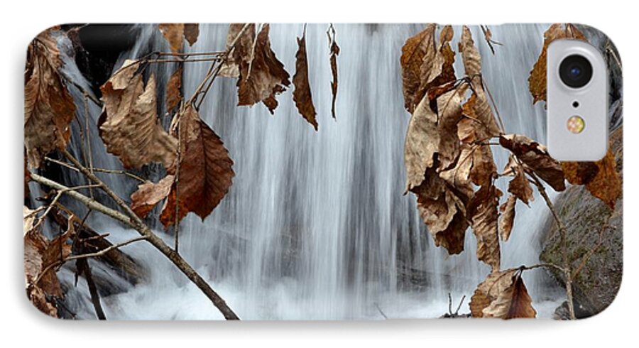 Natural Leaves iPhone 8 Case featuring the photograph Liquid Window by Jeff Bjune 