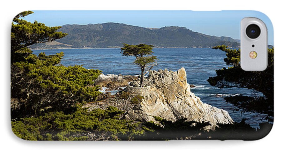 17-mile iPhone 8 Case featuring the photograph Lone Cypress on 17-mile Drive by Carol M Highsmith