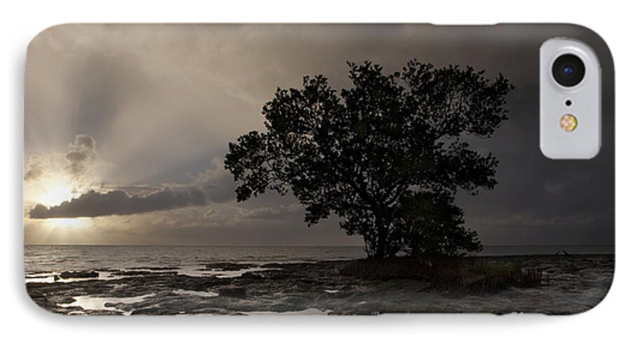 Tranquil Scene iPhone 8 Case featuring the photograph Lone Mangrove by Keith Kapple