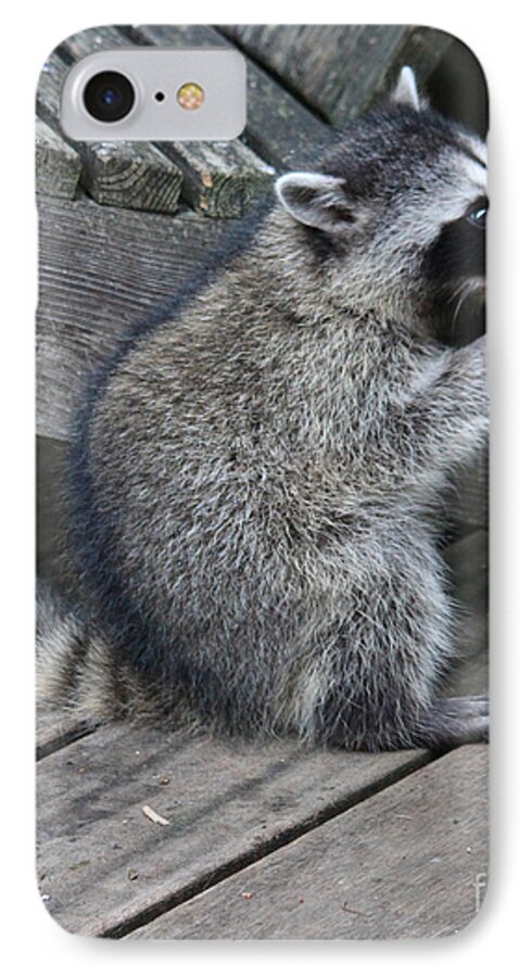 Mammals iPhone 8 Case featuring the photograph Lord thank you for this day by Kym Backland
