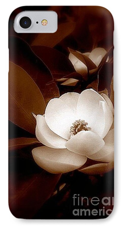 New Orleans iPhone 8 Case featuring the photograph New Orleans Magnolia Beauty by Michael Hoard