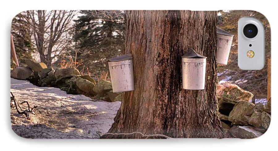 Maple Tree iPhone 8 Case featuring the photograph Maple Syrup Buckets by Tom Singleton