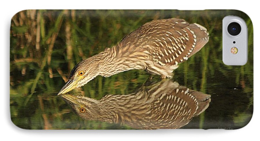 Bird iPhone 8 Case featuring the photograph Mirror mirror on the wall who is the fairest heron of all by Heather King