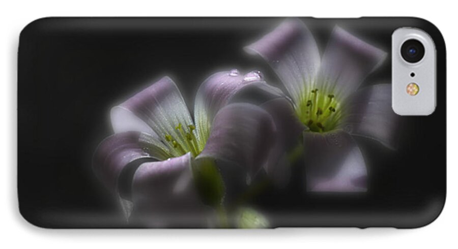 Shamrock iPhone 8 Case featuring the photograph Misty Shamrock 2 by Sue Capuano