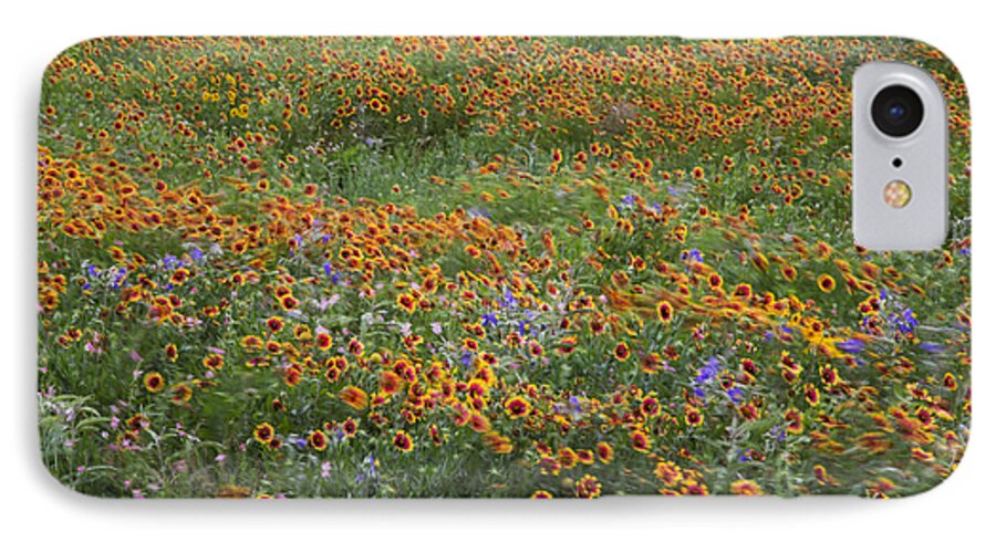 Firewheel iPhone 8 Case featuring the photograph Mixed Wildflowers Blowing by Steven Schwartzman