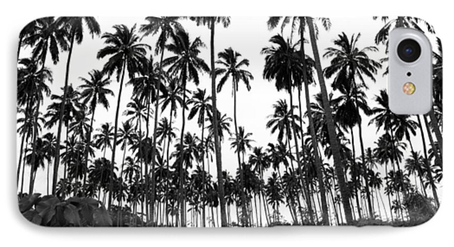 Palm Trees iPhone 8 Case featuring the photograph Monochrome Palms by April Reppucci