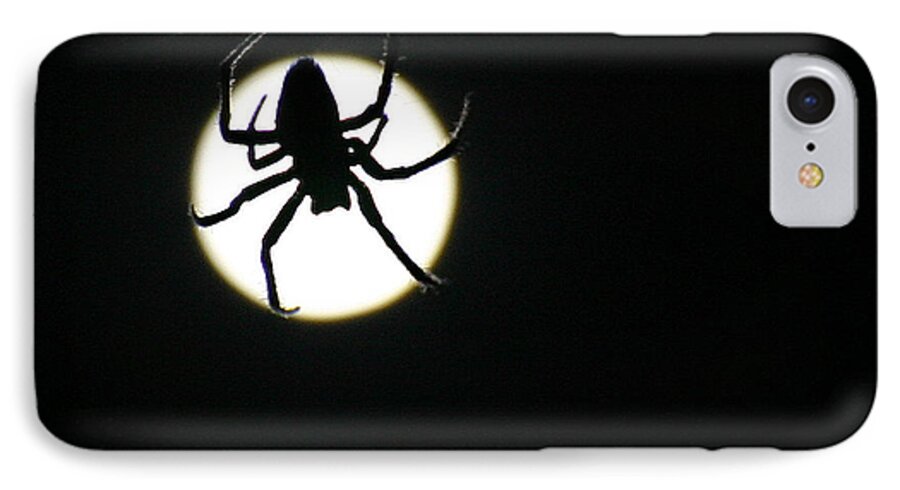 Spider iPhone 8 Case featuring the photograph Moonlight Hunter by Christopher McKenzie