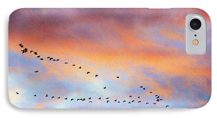 Montana iPhone 8 Case featuring the photograph Morning Geese by Scott Carlton