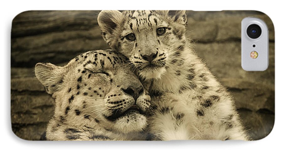 Marwell iPhone 8 Case featuring the photograph Mother's Love by Chris Boulton