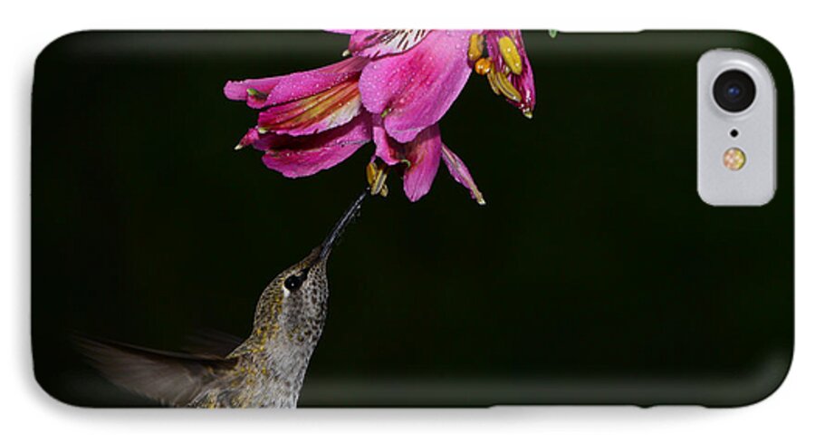 Bird iPhone 8 Case featuring the photograph My Favorite Flower by Peter Dang