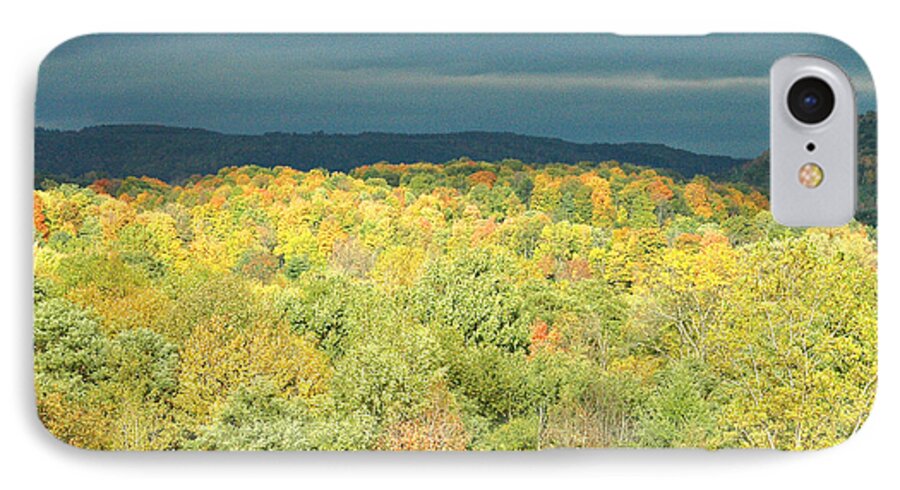 Fall Colors iPhone 8 Case featuring the photograph New York Colors by Robert Suggs