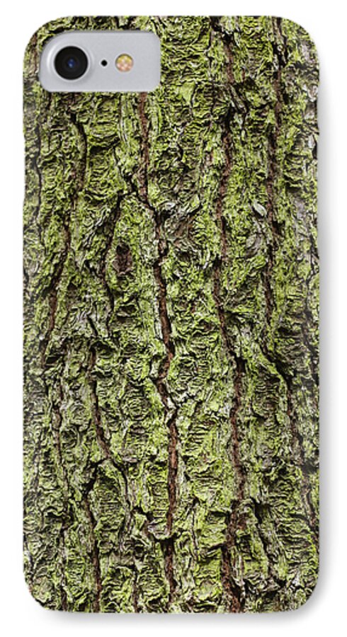 Lichen iPhone 8 Case featuring the photograph Oak with lichen by Allan Morrison