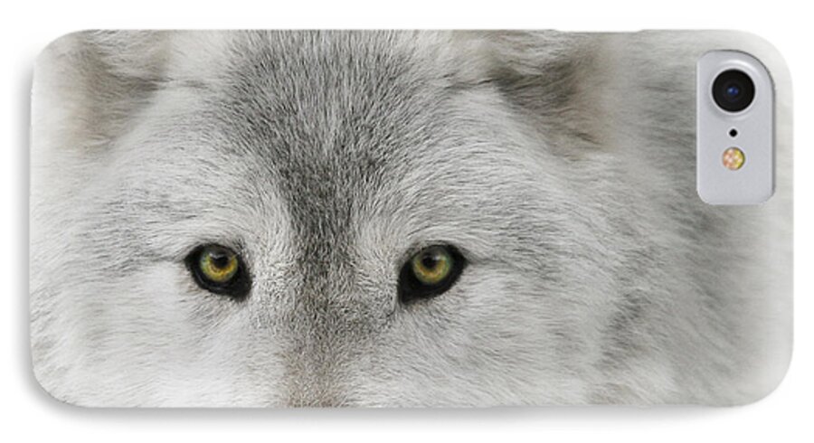 Oh Those Eyes iPhone 8 Case featuring the photograph Oh Those Eyes by Wes and Dotty Weber