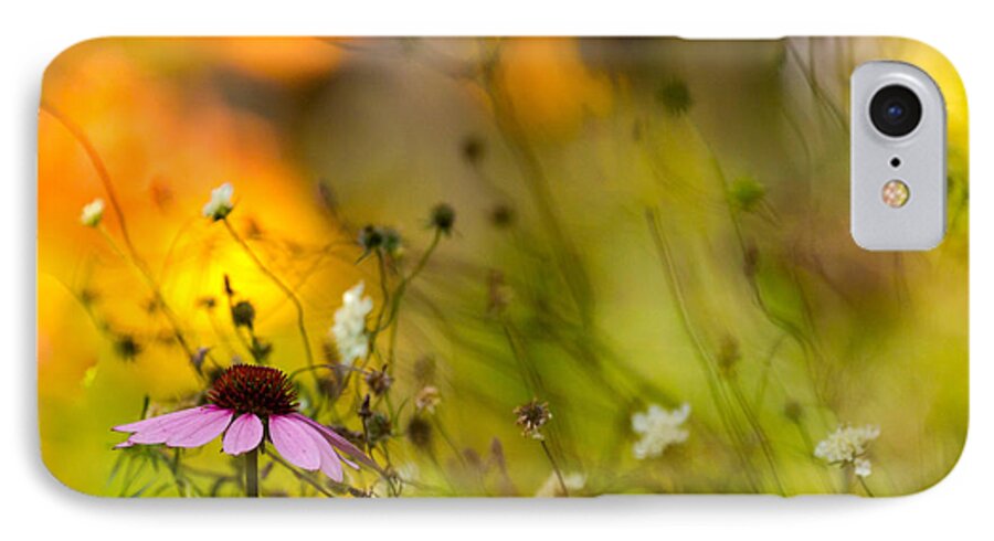 Cone Flower iPhone 8 Case featuring the photograph Once Upon a Time There Lived a Flower by Mary Amerman