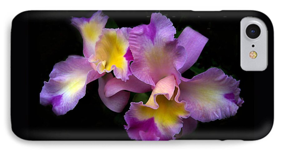 Flowers iPhone 8 Case featuring the photograph Orchid Embrace by Jessica Jenney