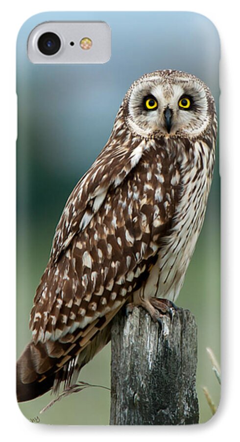 Short Eared Owl iPhone 8 Case featuring the photograph Owl see you by Torbjorn Swenelius