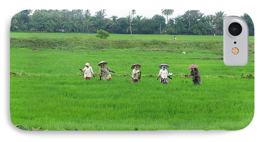 Paddy Field Workers iPhone 8 Case featuring the photograph Paddy field workers by Mini Arora