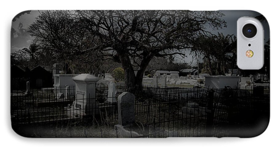 Cemetery iPhone 8 Case featuring the photograph Passage by Kathi Shotwell