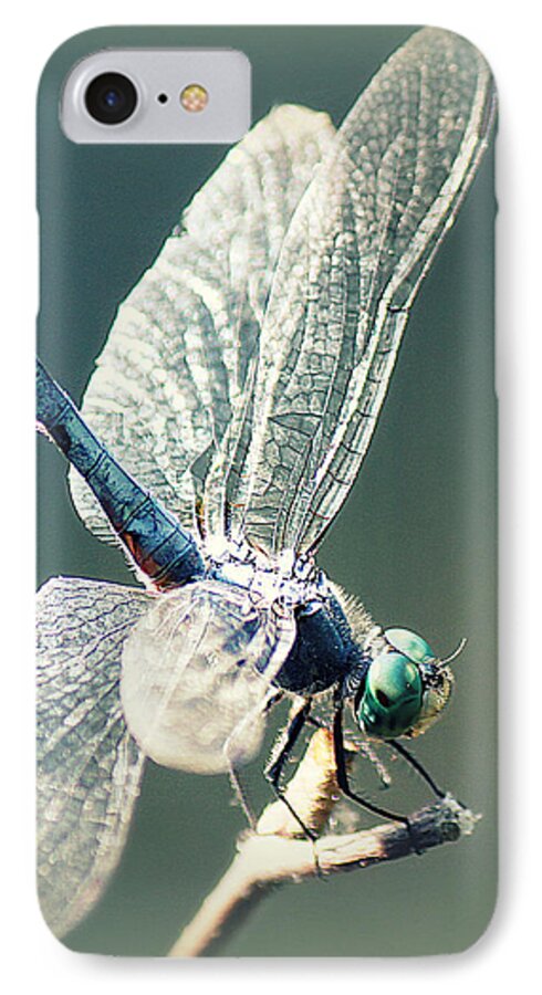 Dragonfly iPhone 8 Case featuring the photograph Peaceful Pause by Melanie Lankford Photography