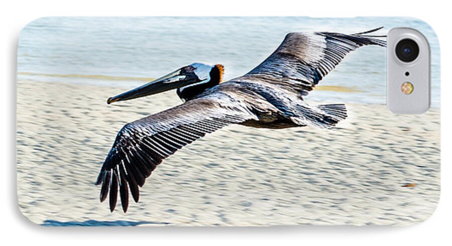 Pelican iPhone 8 Case featuring the photograph Pelican flying by Tammy Ray