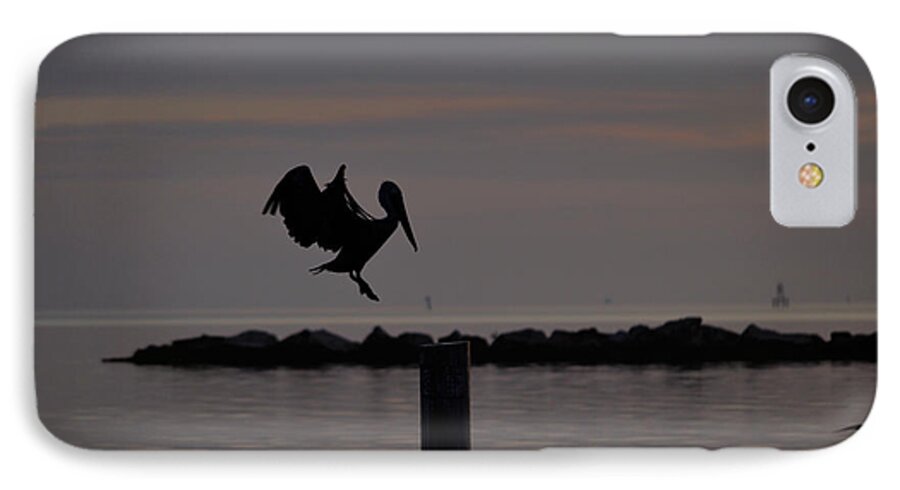 Pelican iPhone 8 Case featuring the photograph Pelican Landing by Leticia Latocki