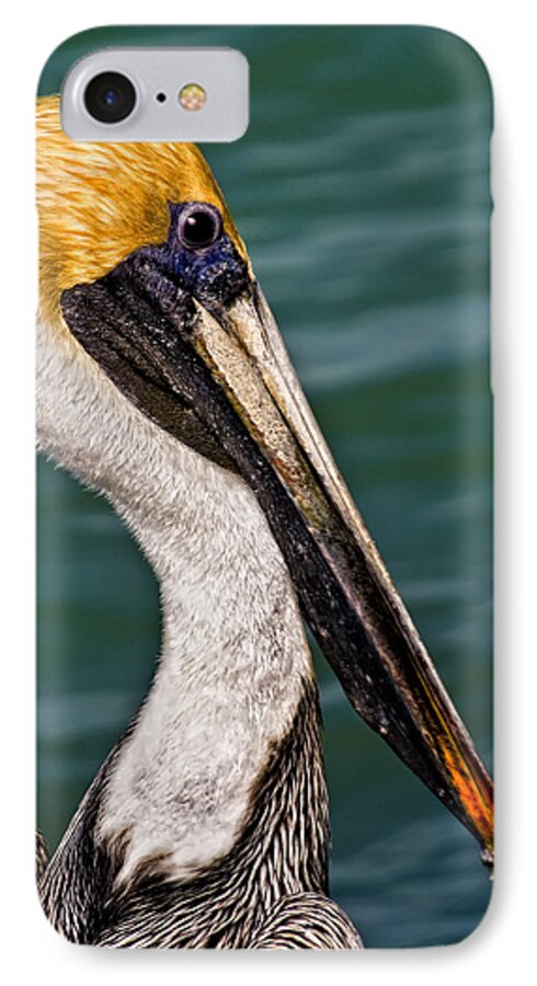 2007 iPhone 8 Case featuring the photograph Pelican Profile No.40 by Mark Myhaver