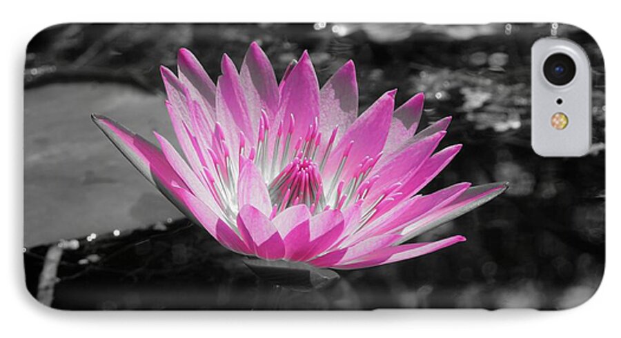 Water Lily iPhone 8 Case featuring the photograph Pink Glow by Chad and Stacey Hall