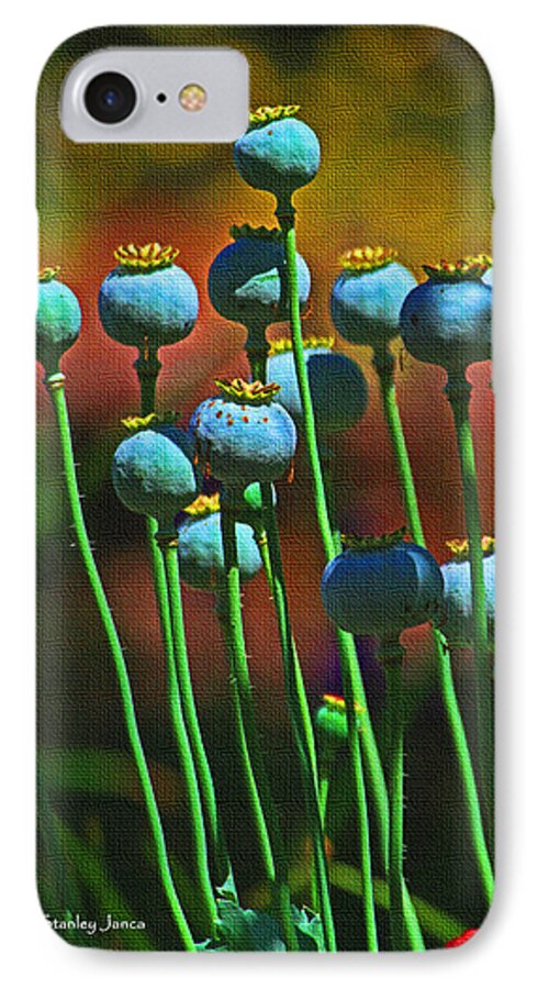 Poppy Seed Pods iPhone 8 Case featuring the photograph Poppy Seed Pods by Tom Janca