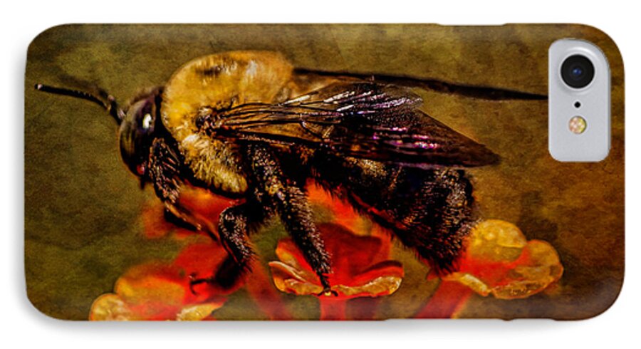 Art Prints iPhone 8 Case featuring the photograph Portrait of a Bee by Dave Bosse