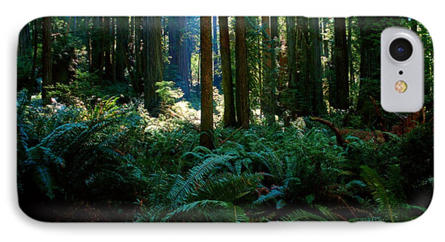 Redwood Trees iPhone 8 Case featuring the photograph Prairie Creek Redwoods State Park 10 by Terry Elniski