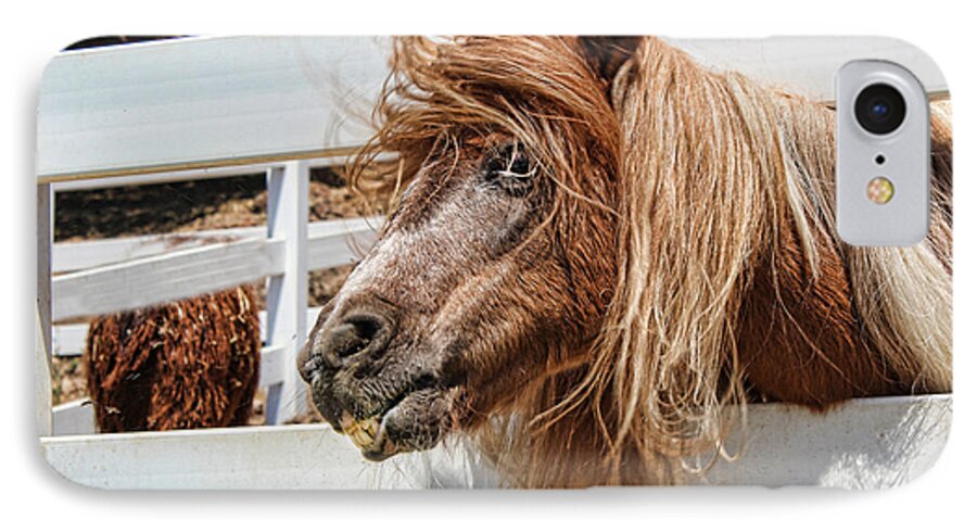 Pony iPhone 8 Case featuring the photograph Pretty Pony AFTER by Helaine Cummins