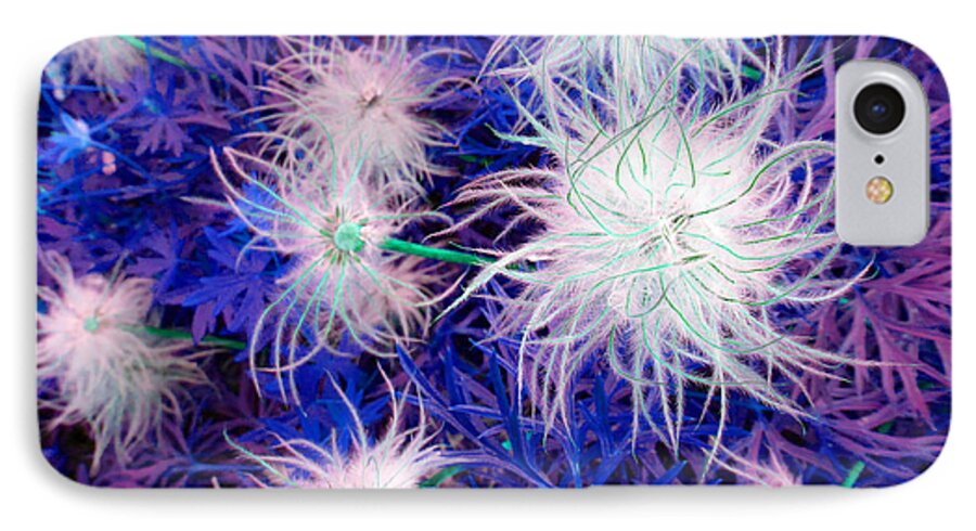 Puffy iPhone 8 Case featuring the photograph Pulsatilla Seed-head by Laurie Tsemak