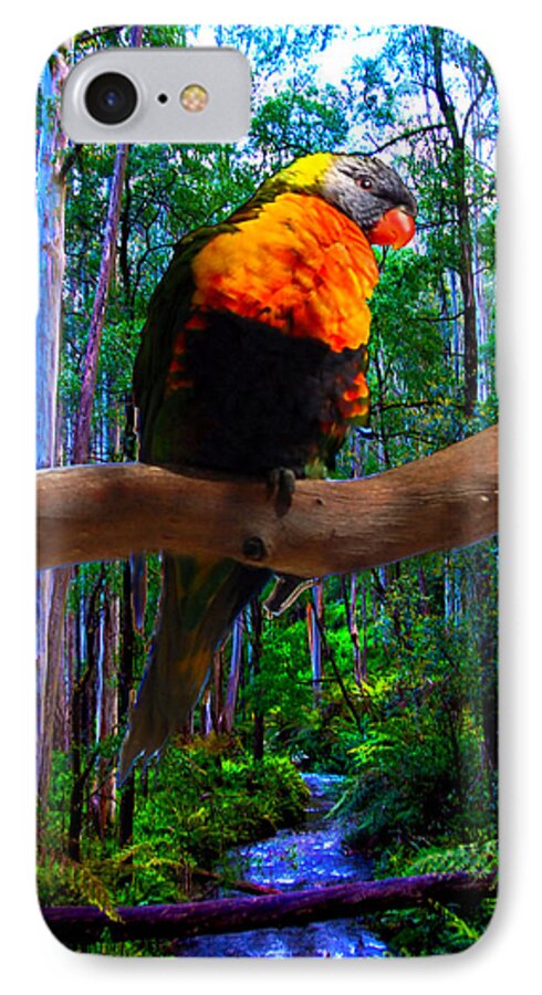 Bird iPhone 8 Case featuring the photograph Rainbow Of The Forest by Glen Johnson