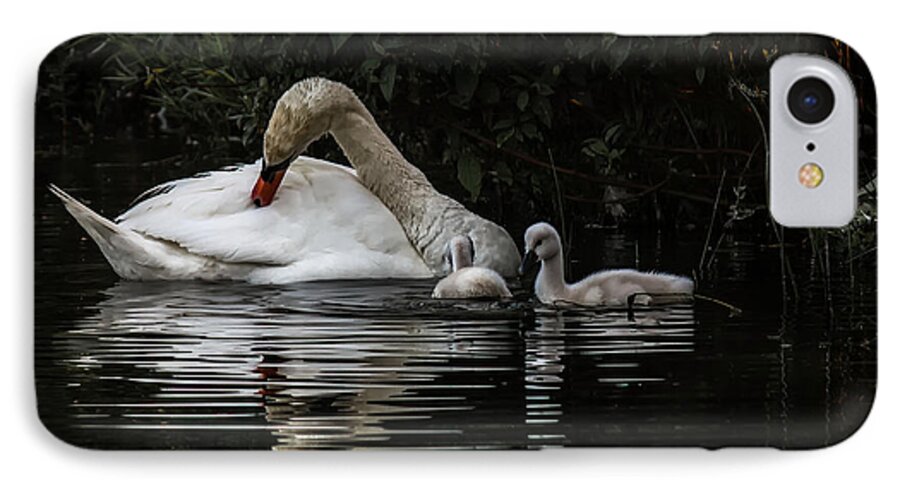 Children's Room iPhone 8 Case featuring the photograph Ready For The Night by Peter Scott