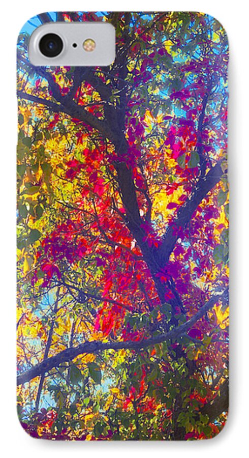 Fall iPhone 8 Case featuring the photograph Red #2 by Kathy Besthorn