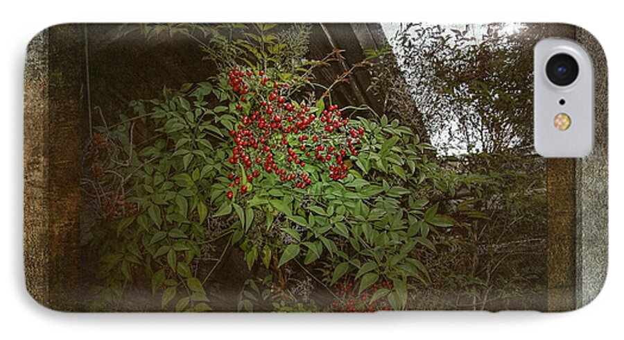 Nature iPhone 8 Case featuring the photograph Red Berries by Phil Clark