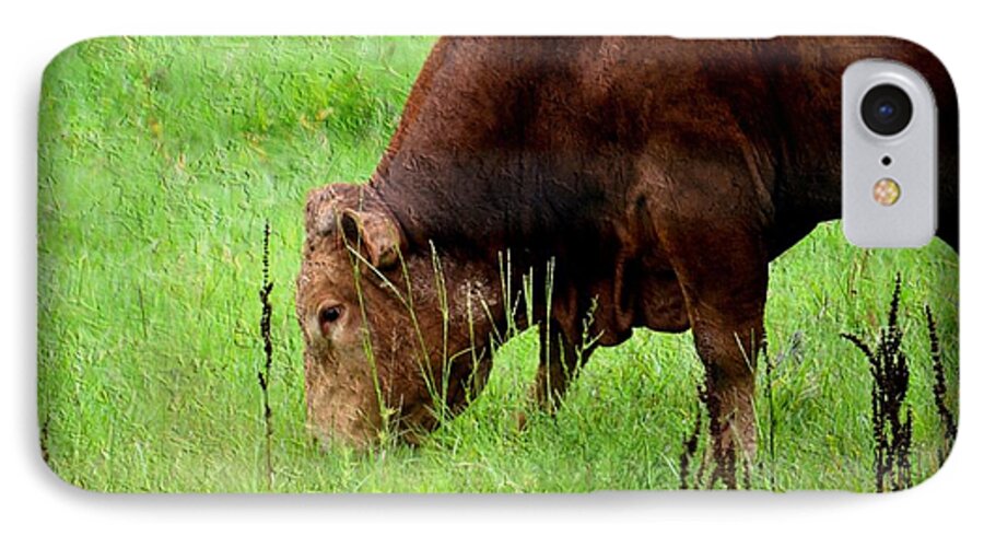 Red Brangus Bull iPhone 8 Case featuring the photograph Red Brangus Bull by Maria Urso