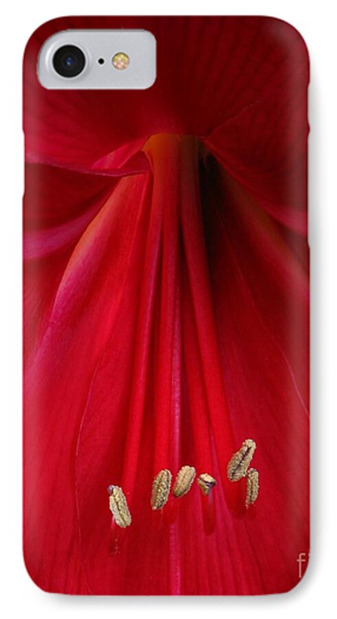 Macro iPhone 8 Case featuring the photograph Red by Chris Anderson