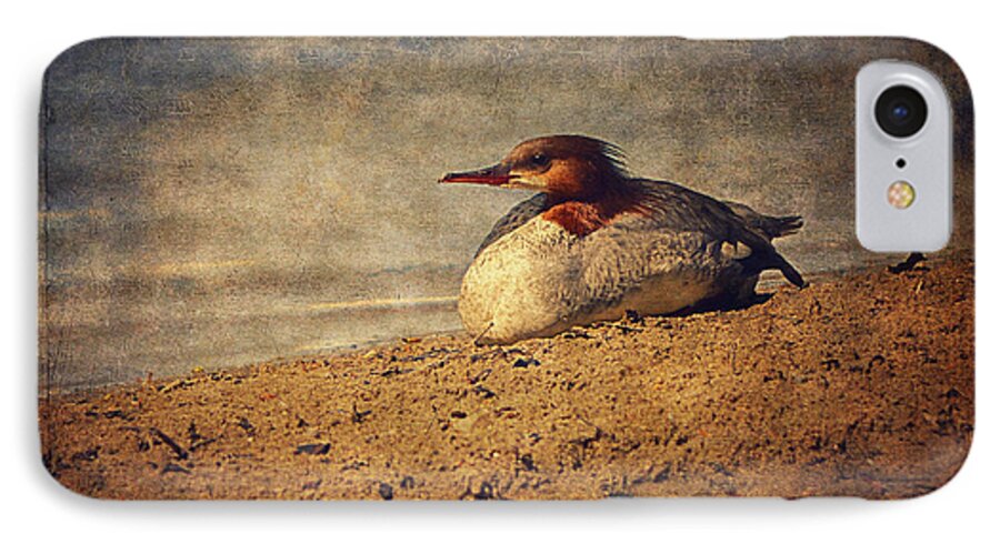 Merganser iPhone 8 Case featuring the photograph Relaxing Under The Sun by Maria Angelica Maira