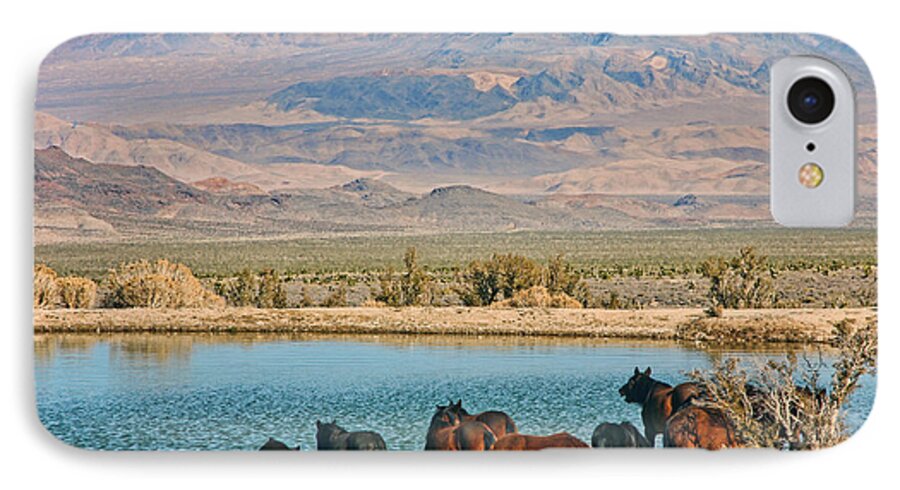 Horse iPhone 8 Case featuring the photograph Rest stop by Tammy Espino