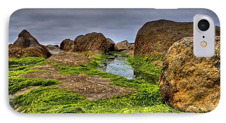 Rock iPhone 8 Case featuring the photograph Rocks and Seaweed by Joseph Bowman