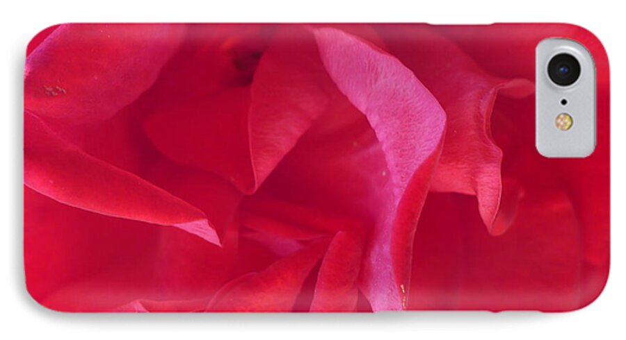 Red iPhone 8 Case featuring the photograph Rose by Nora Boghossian