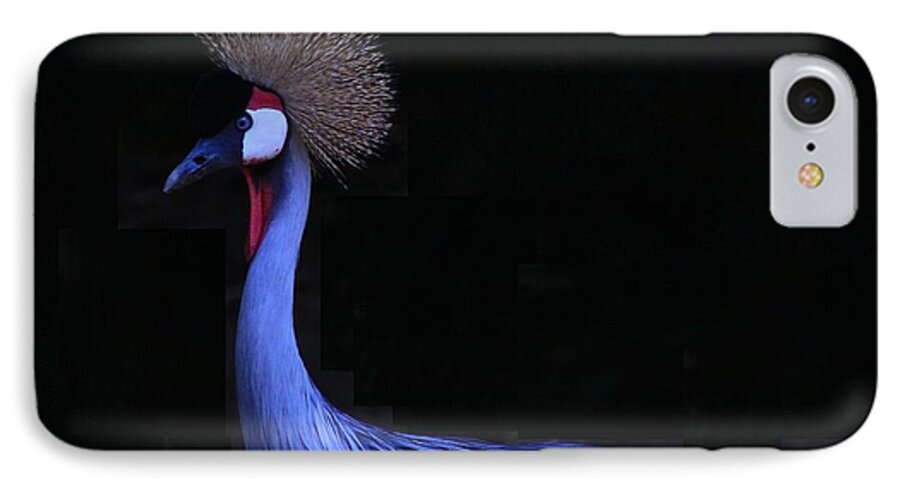 Bird iPhone 8 Case featuring the photograph Animal 6 by Albert Fadel