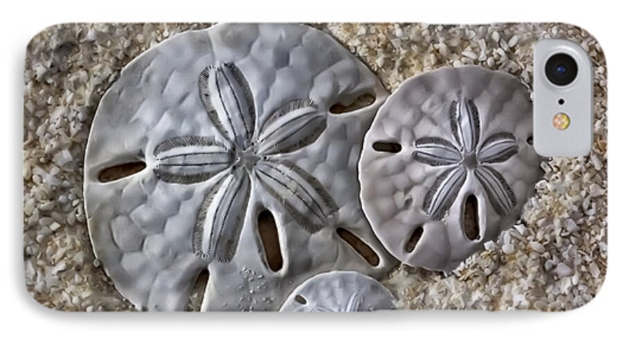 Sand iPhone 8 Case featuring the photograph Sand Dollars 2106 by Walt Foegelle