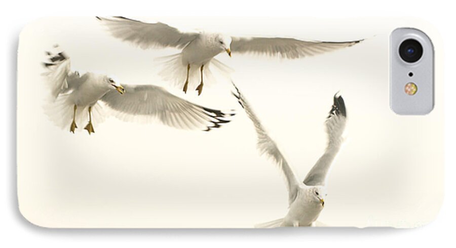 Seagulls Photograph iPhone 8 Case featuring the photograph Seagulls Flight by Raymond Earley